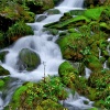 Los Pirineos. Francia. Eaux-Bonnes