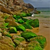 El Algarve. Portugal. Praia de Beliche