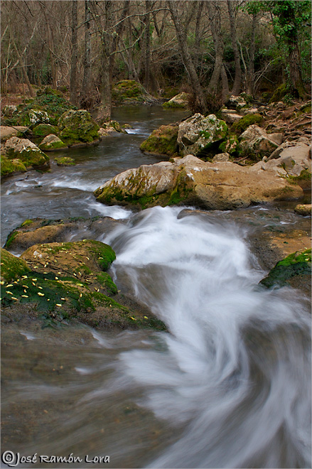 12569251qr.jpg