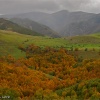 Sierra de la Demanda. La Rioja. Viniegra de Arriba. Puerto de Montenegro.