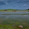 Complejo endorreico Lebrija-Las Cabezas. Sevilla. Laguna de La Galiana