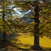 Los Pirineos. Huesca. Valle de Ansó. Llanos de Linza