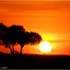 Sierra Morena. Sierra Norte de Sevilla. Puesta de sol en Las Jarillas