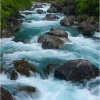 Los Pirineos. Huesca. Valle de Bujaruelo. Rio Ara