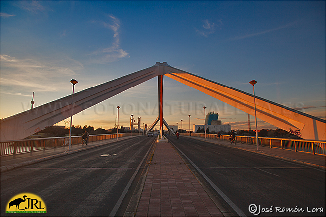 Puente de la Barqueta. Sevilla Puente de la Barqueta. Sevilla