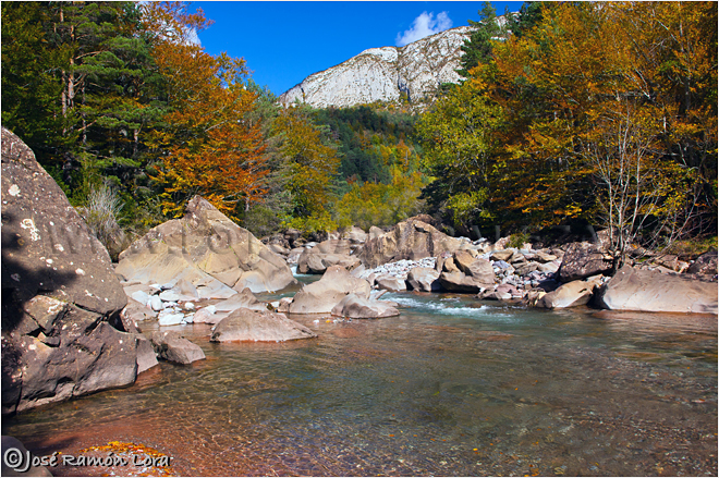 Los Pirineos. Huesca. Selva de Oza