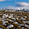 Sierra de Segura, Jaén. Nevada